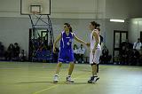 Basket C321073